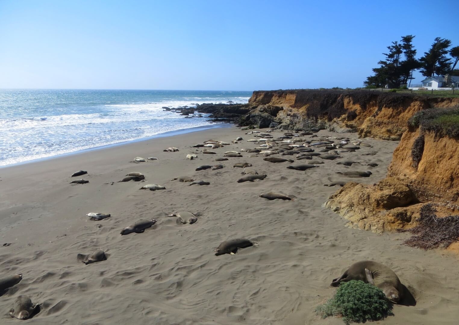 things to do in san simeon